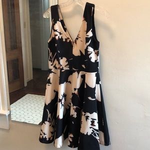 Anthropologie Mod Floral Fit and Flare Dress